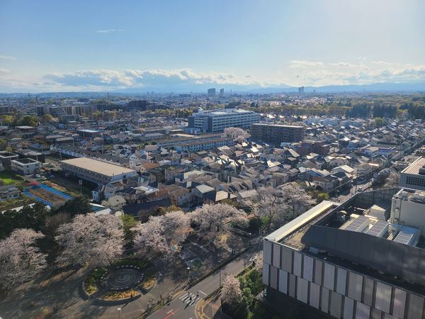 眺望