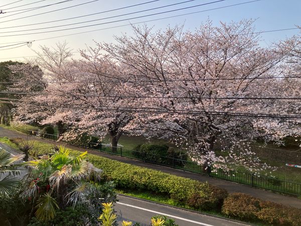 小金井市貫井南町4丁目 土地 眺望
