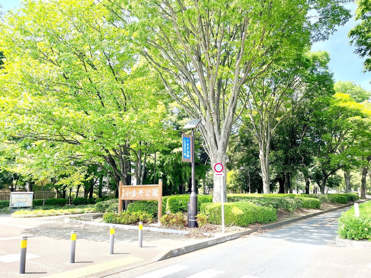 メルローズスクエア武蔵小金井 小金井公園(約970m) 小金井公園(約970m)