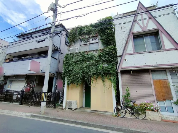 現地写真
