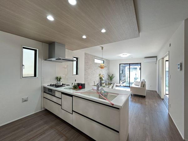 三鷹市上連雀9丁目 新築戸建 リビング