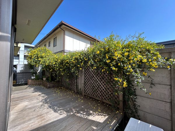 三鷹市上連雀4丁目 庭