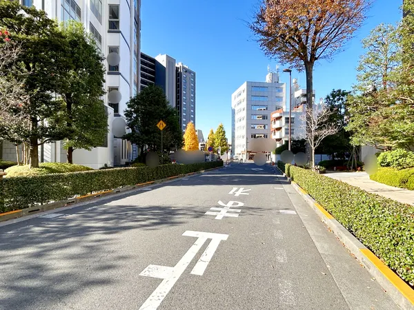 北側道路