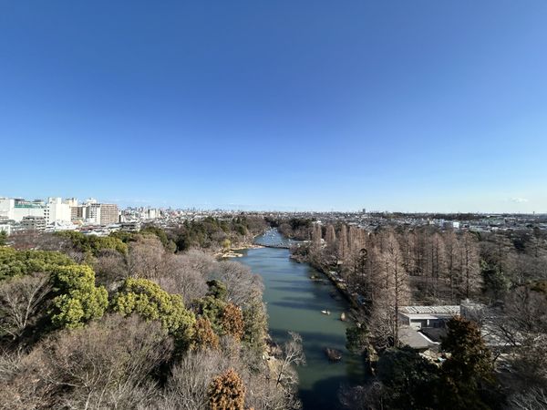 メゾン井の頭 眺望