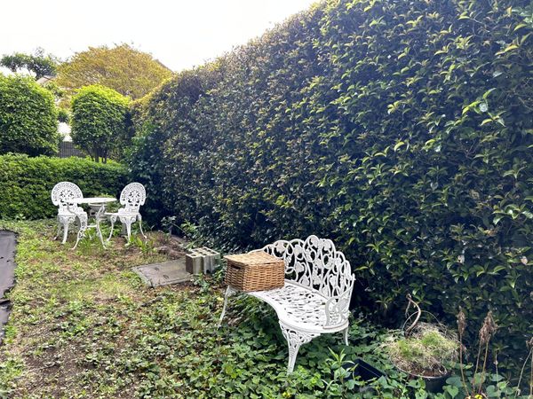 ステイツ花小金井ヴェルパセオ 庭 ステイツ花小金井ヴェルパセオ 庭