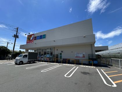 サンドラッグ国領店（約380ｍ）