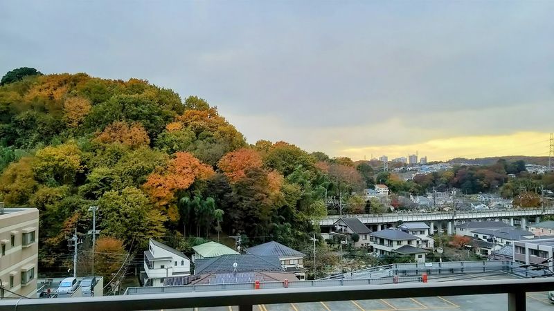 稲城パーク・ホームズ 眺望 眺望