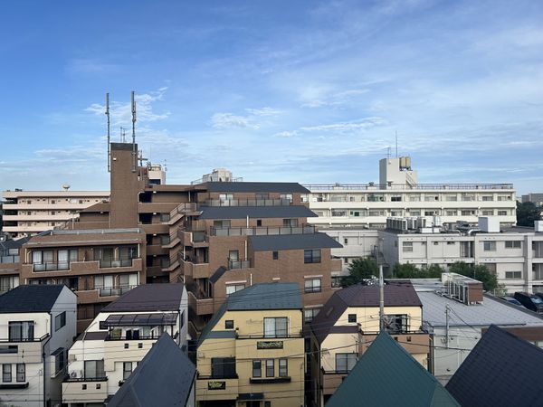 マイキャッスル調布緑地公園 眺望 眺望