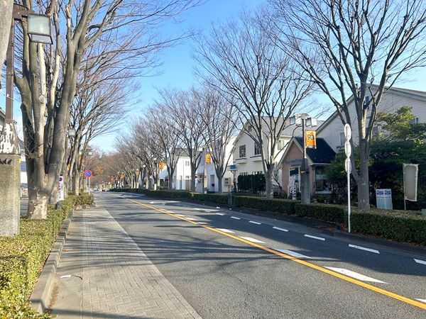 稲城市向陽台5丁目 土地 前面道路含む外観 稲城市向陽台5丁目 土地 前面道路含む外観