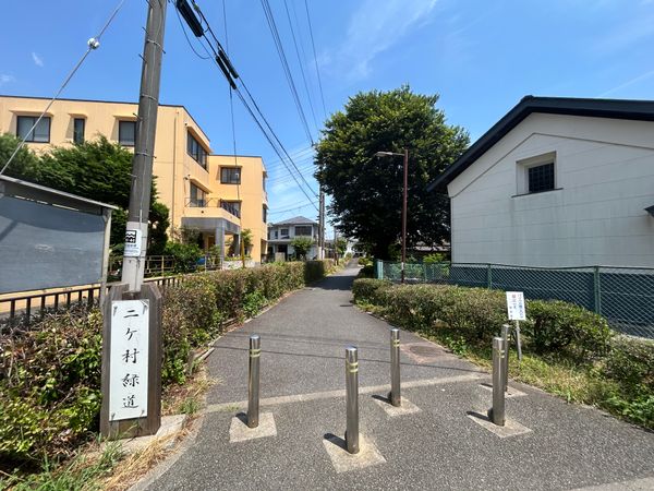 府中市是政6丁目 土地 その他