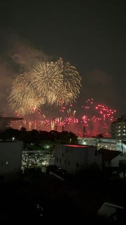 ザ・ミレニアムフォート府中御殿坂 眺望