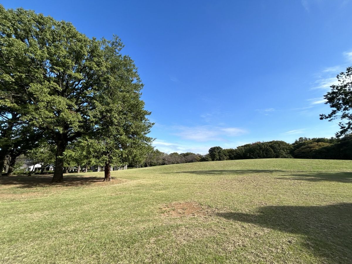 ファインスクエア府中緑町グラン 府中の森公園(約350m) 府中の森公園(約350m)