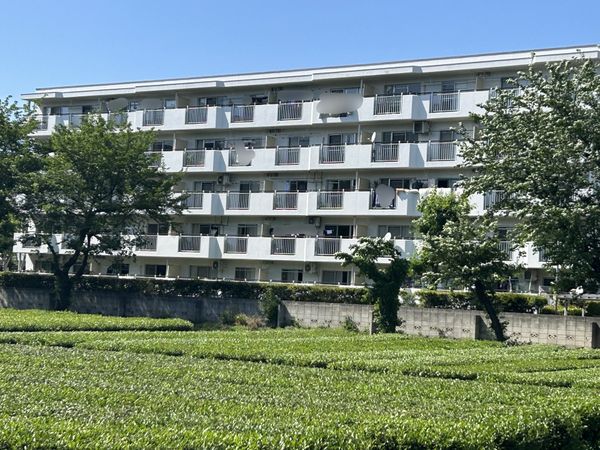 府中第2団地エステート晴見 4号棟 外観 府中第2団地エステート晴見 4号棟 外観