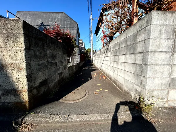 西側前面道路の様子