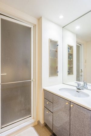 仙川パーク・ホームズ 洗面 仙川パーク・ホームズ 洗面