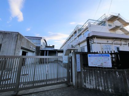 ロムルスコート幡ヶ谷 渋谷区立中幡小学校(約330m) 渋谷区立中幡小学校(約330m)