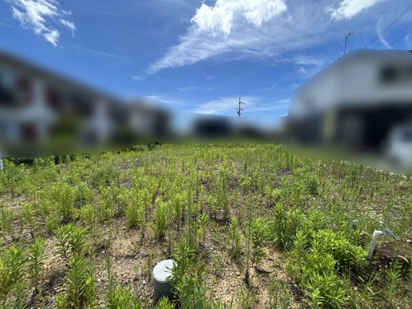 大久保町松蔭建築条件付土地(4号地) 土地写真 大久保町松蔭建築条件付土地(4号地) 土地写真