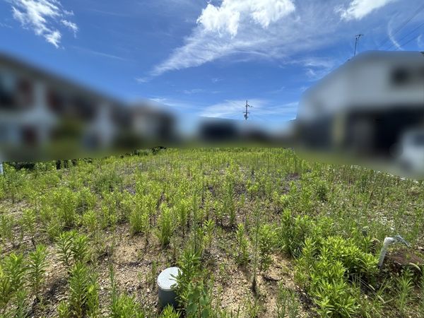 大久保町松陰建築条件付土地(2号地) 土地写真 大久保町松陰建築条件付土地(2号地) 土地写真