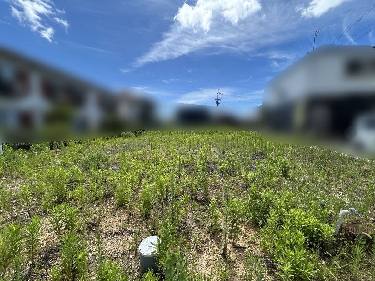 土地写真