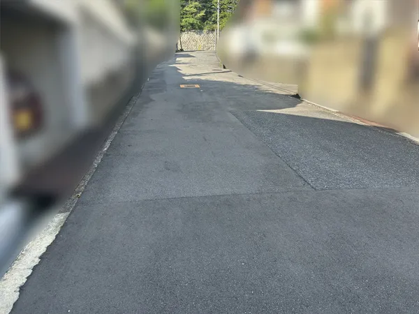 前面道路(南東側)