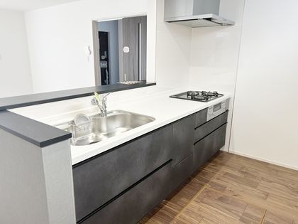 枝吉1丁目 新築戸建 キッチン