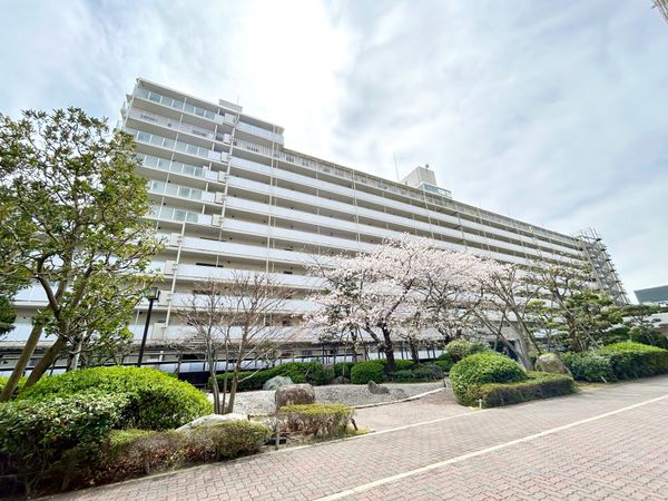 ファミールハイツ明石 壱番館 外観 ファミールハイツ明石 壱番館 外観