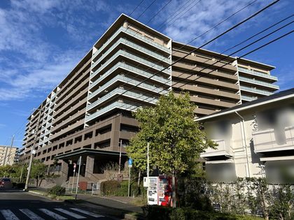 明石 ストア マンション ペット