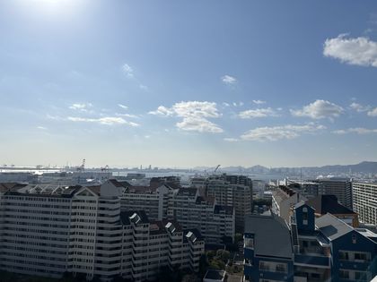 RICウエストコート3番街1番館 眺望