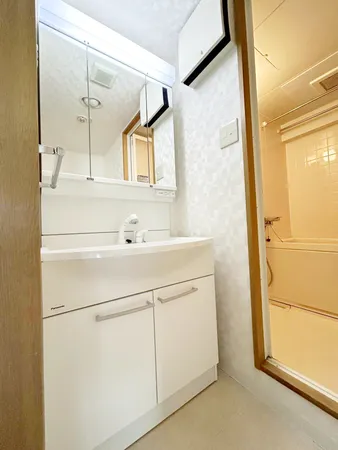 収納スペースが豊富な洗面所。（2025年12月撮影）