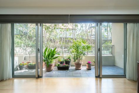 グランドメゾン住吉本町ネクス 眺望 グランドメゾン住吉本町ネクス 眺望