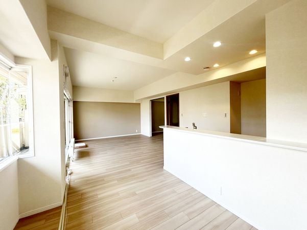 RICウエストコート5番街 2番館 リビング