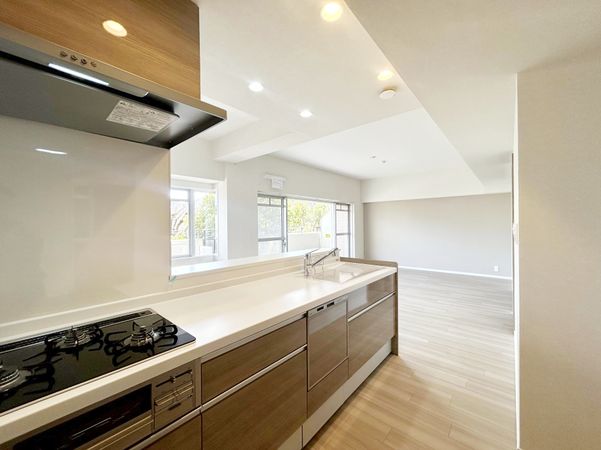 RICウエストコート5番街 2番館 キッチン