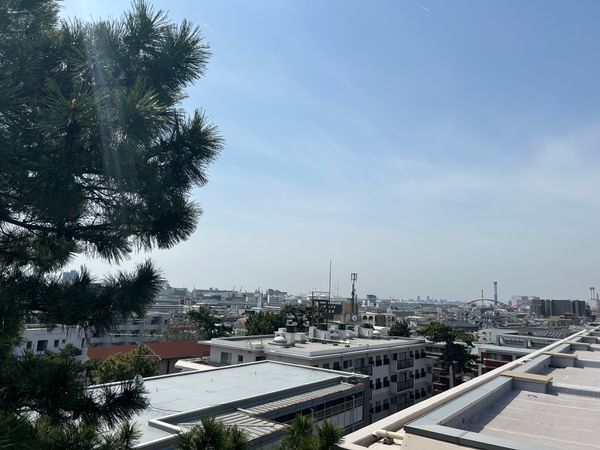 住吉川パーク・マンション 眺望 住吉川パーク・マンション 眺望