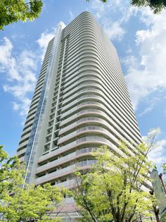 RICウエストコート参番街501号棟 外観