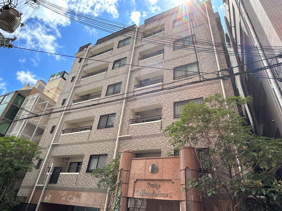 外観