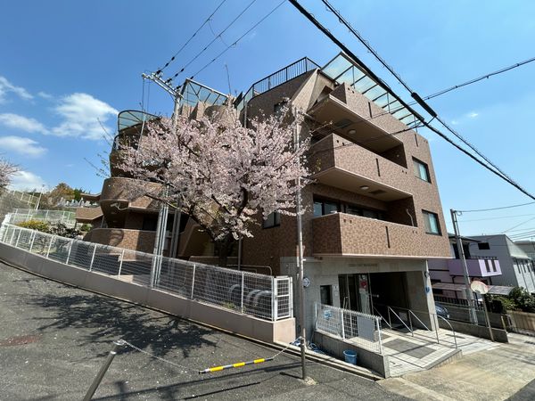 セレッソコート御影山手 外観 セレッソコート御影山手 外観