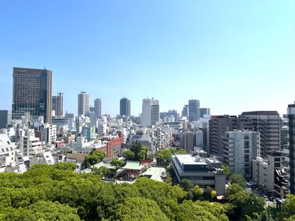 中山手コーポ 眺望