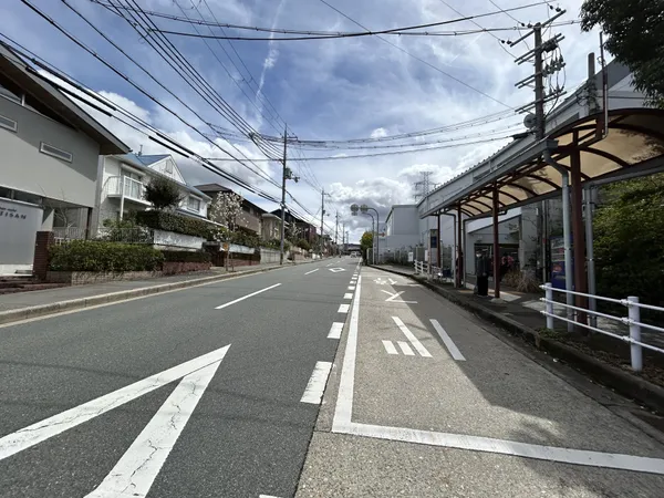 前面道路（南側）