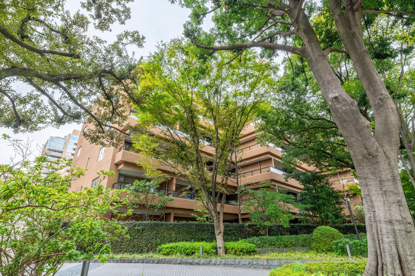 広尾ガーデンフォレスト D棟 外観 外観