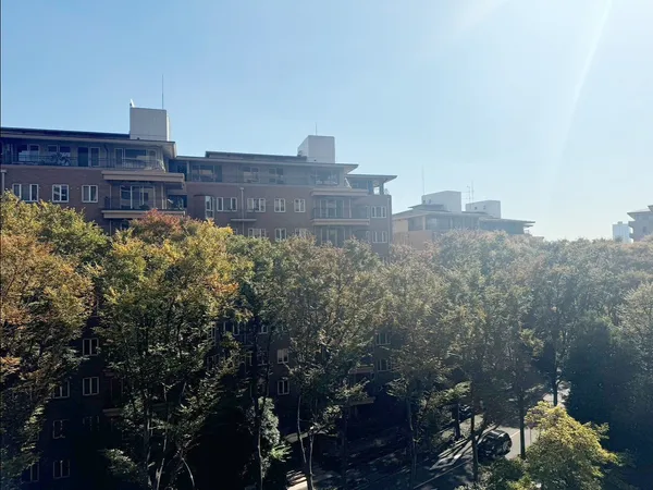 リビングダイニングからの眺望