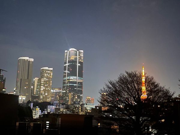 ザ・パークハウス元麻布 眺望