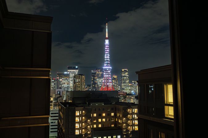 三田ガーデンヒルズ サウスヒル 眺望