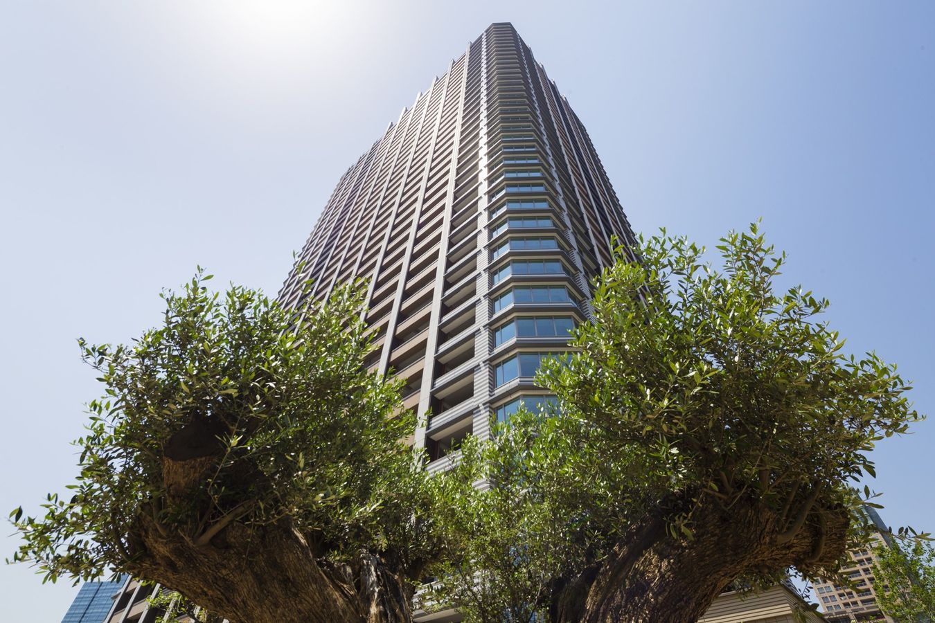 パークシティ大崎 ザタワー 外観 外観