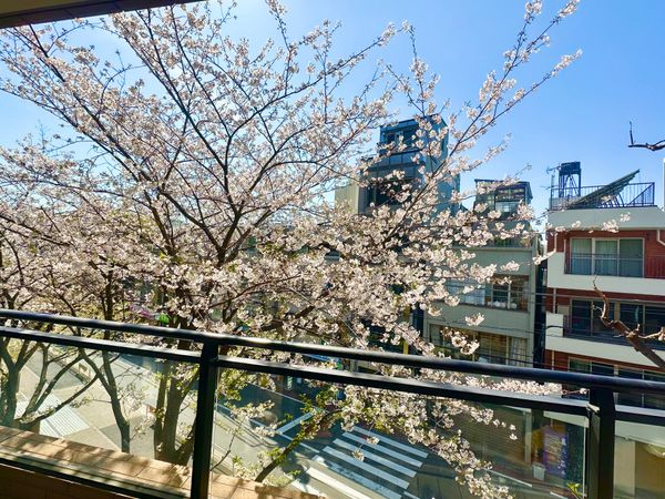 広尾ガーデンフォレストD棟 眺望 広尾ガーデンフォレストD棟 眺望