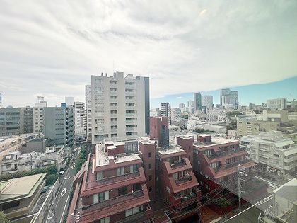 パークコート青山高樹町ザタワー 眺望 眺望