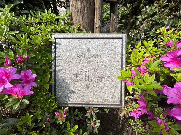 東急ドエルアルス恵比寿 共有部分 東急ドエルアルス恵比寿 共有部分