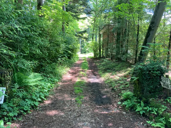 北側の歩道（他人地）