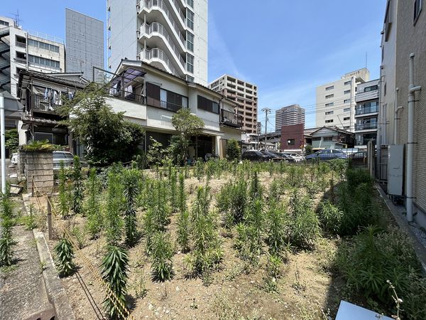 登戸1丁目土地 土地写真 登戸1丁目土地 土地写真