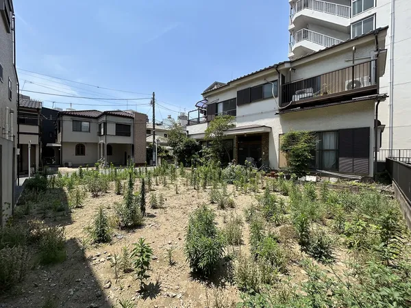 現地外観