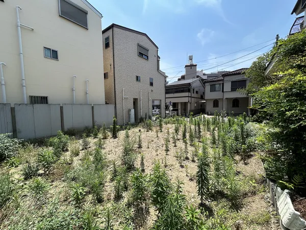 現地外観